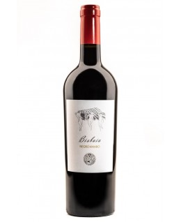 vino rosso bisbaia invidia