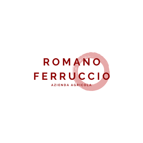 Romano Ferruccio